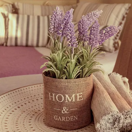 Sun And Stone * Атанион