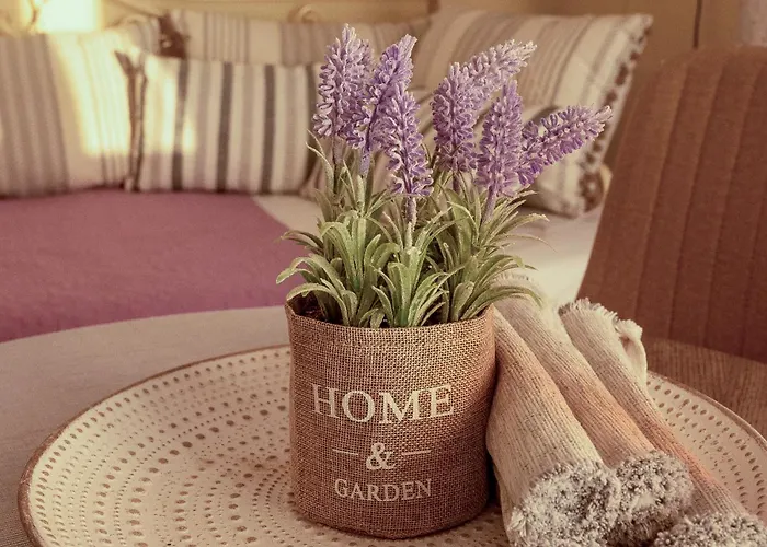 Sun And Stone * Athánion